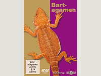 KUS-LUCY Bartagamen DVD