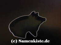 Schildi Formen Glcksschwein  ca 8,5 cm WB