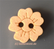 Knopf Holz Blume