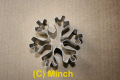 Schildi Formen Eiskristall 7 cm ES